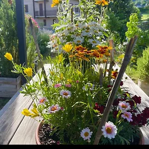 https://une-envie-de-montagne.fr-provencehotel.com